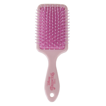 BRUSHES RECTANGULAR PACK x24 FROZEN II , PRINCESS - 2