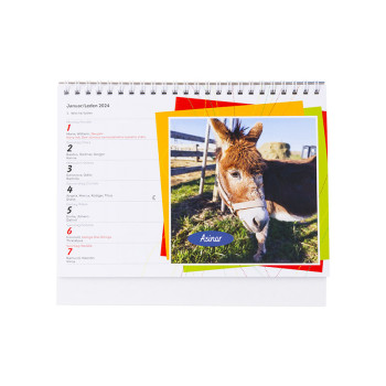 Merlin´s Farm Kalender 2024 - 3