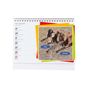 Merlin´s Farm Kalender 2024 - 4