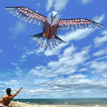 MIKAMAX 3D Eagle Kite - 2