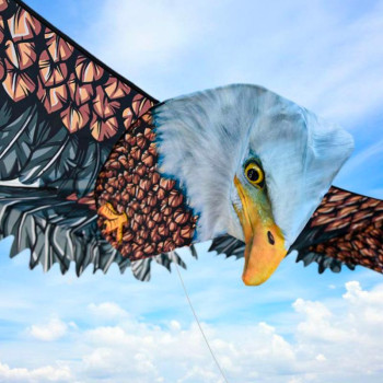 MIKAMAX 3D Eagle Kite - 3